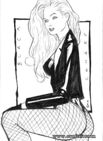 picture BlackCanary box sm.jpg