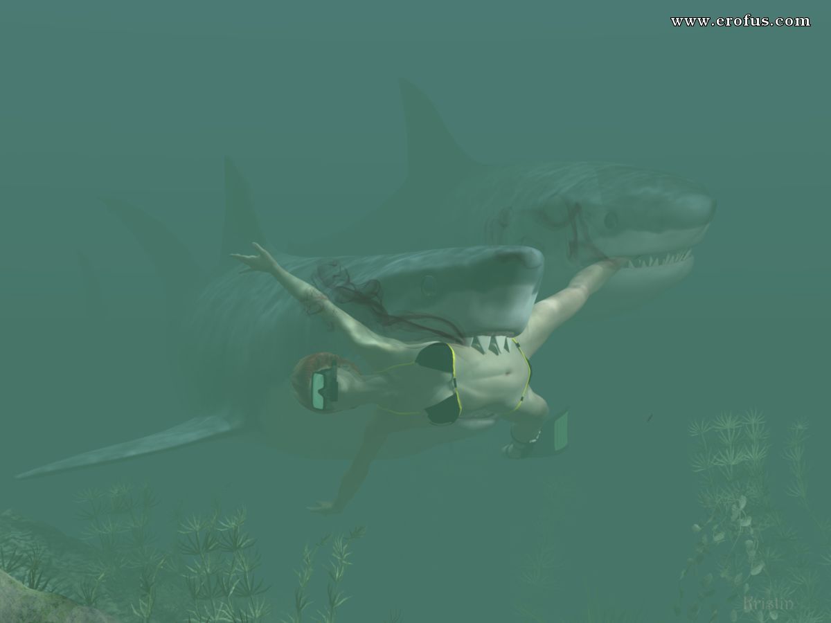 picture sharks_.jpg