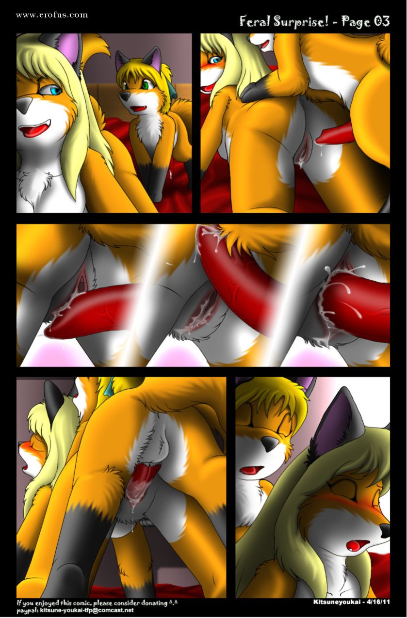 picture Page03.jpg