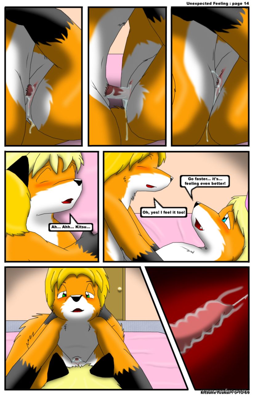 picture Page14.jpg