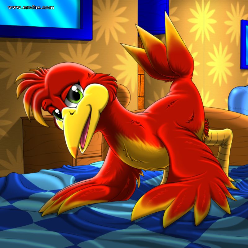 picture 31.png