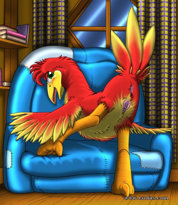 picture 42.png