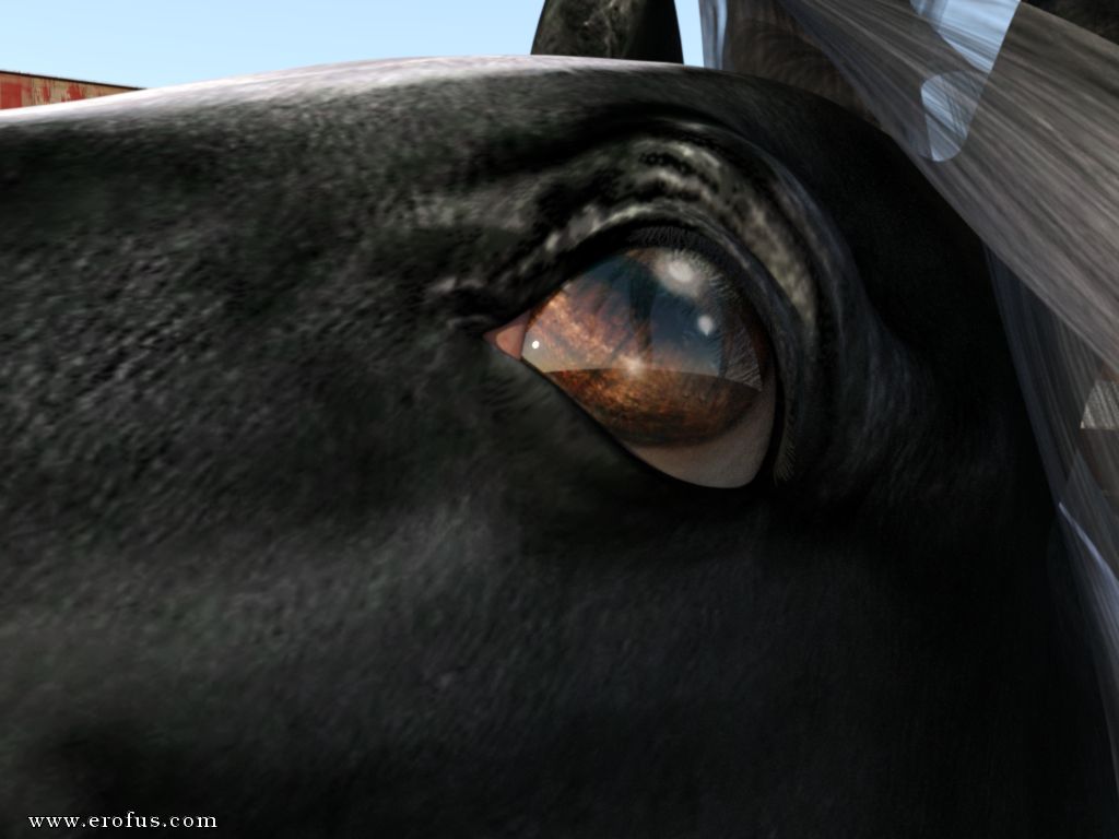 picture 32.png