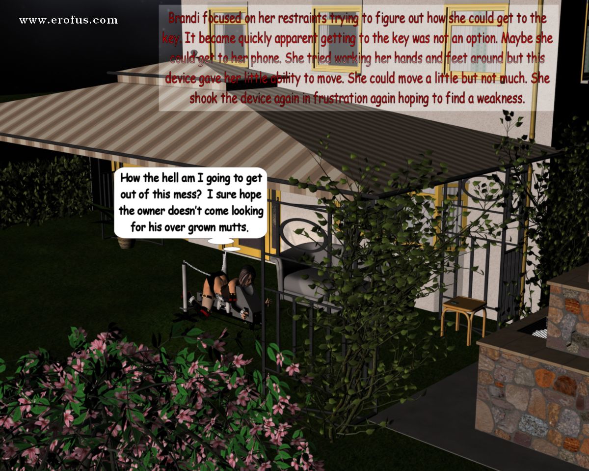 picture 11.jpg