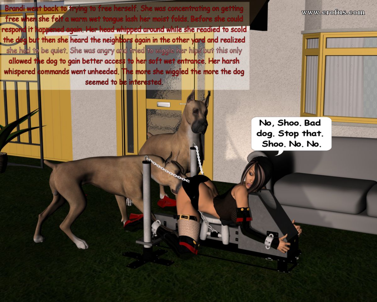 picture 13.jpg