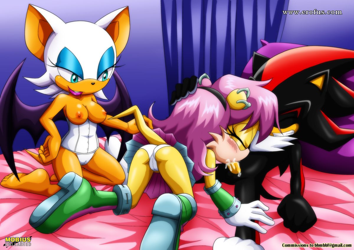 Shadow The Hedgehog And His Secret Girlfriend