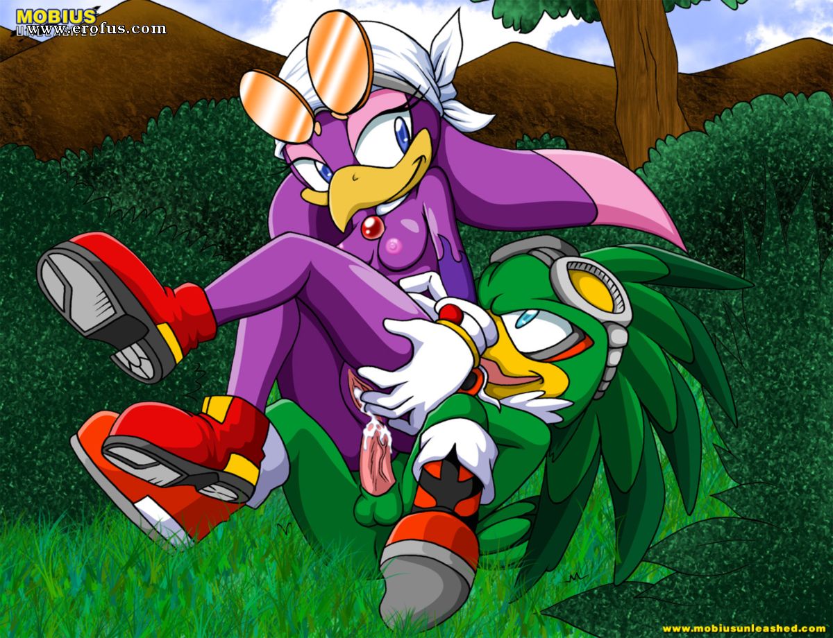 Team chaotix sonic