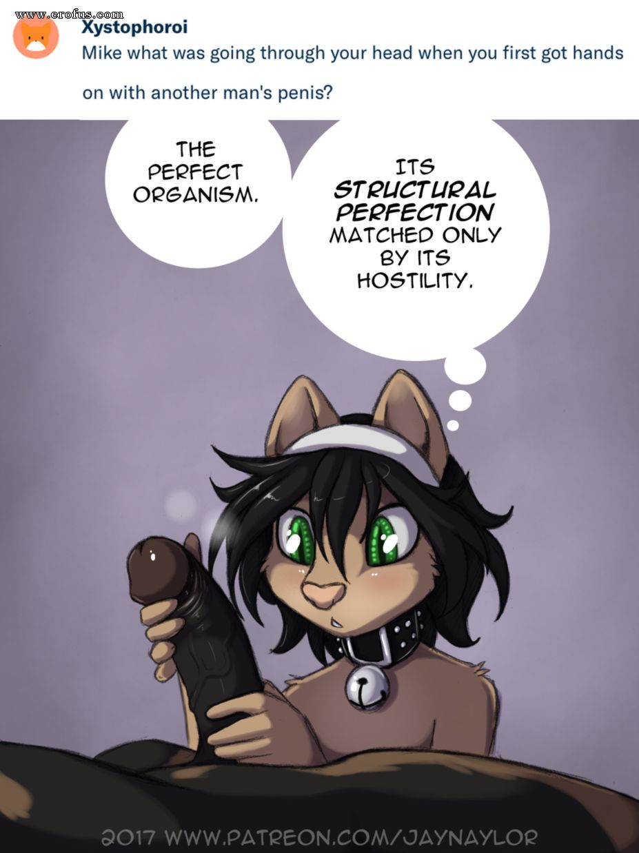 Mikr Anime Furry Porn Comic - Page 12 | jay-naylor-furry-comics/adult-comix/samantha-and ...