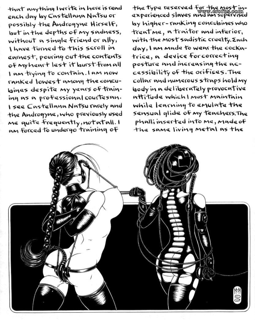 picture 15.jpg