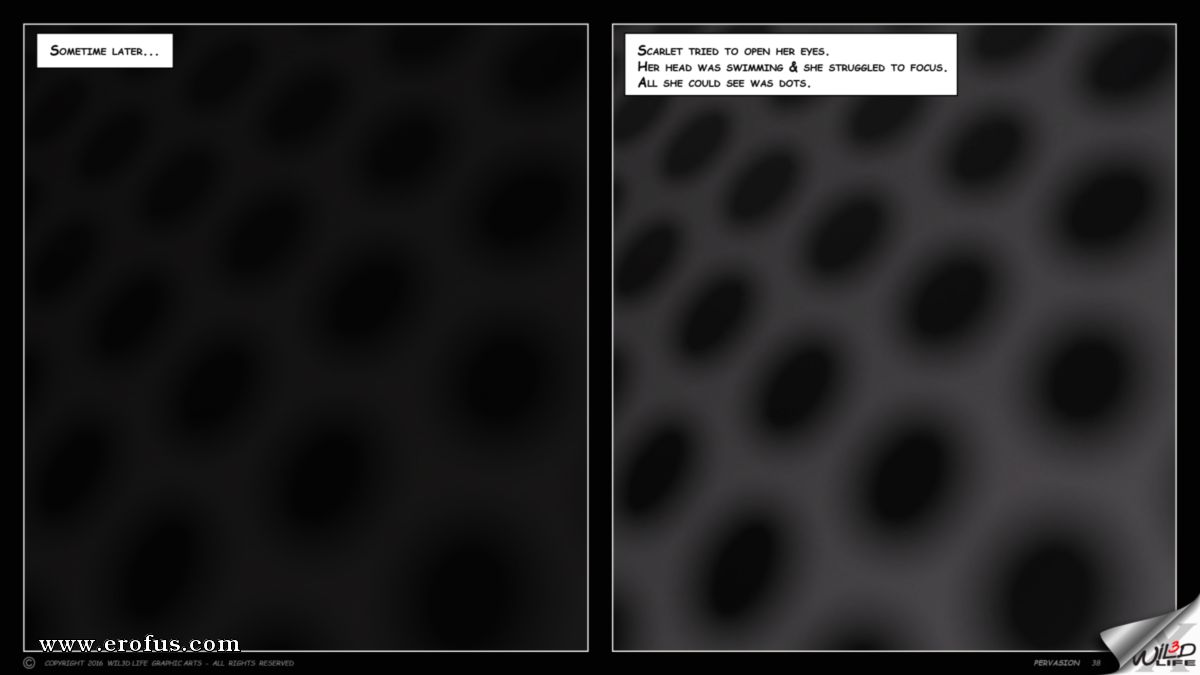 picture 38.jpg