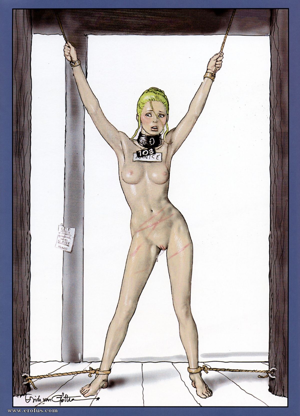 picture 15.jpg