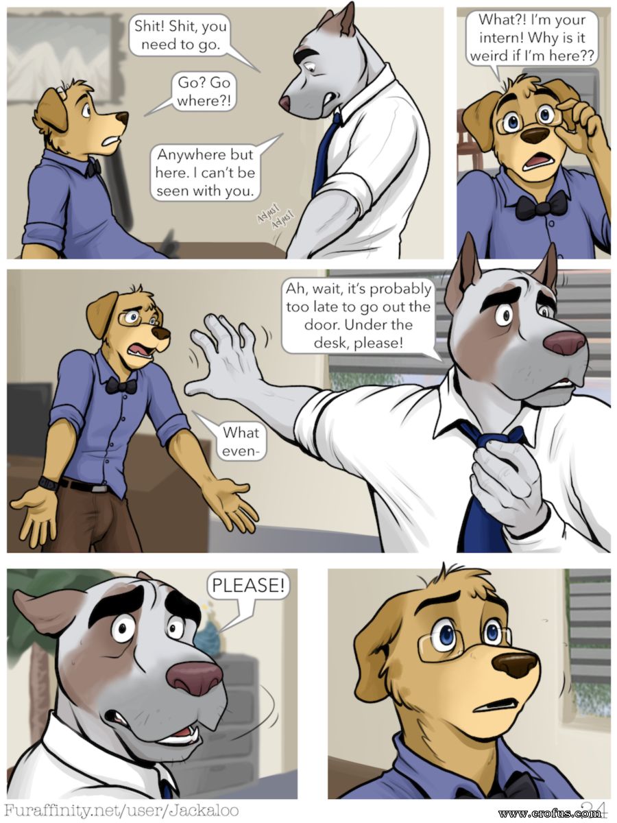 picture 24.png