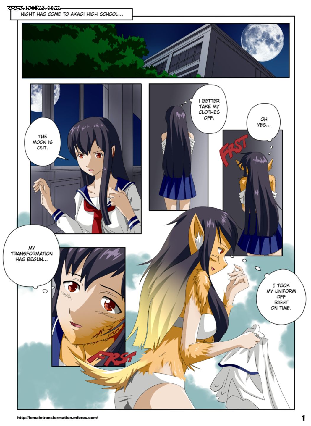 picture 01.png