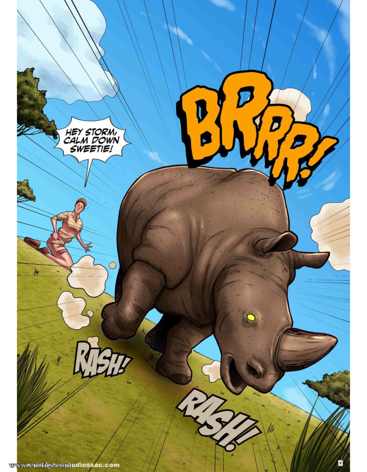 picture 13.png