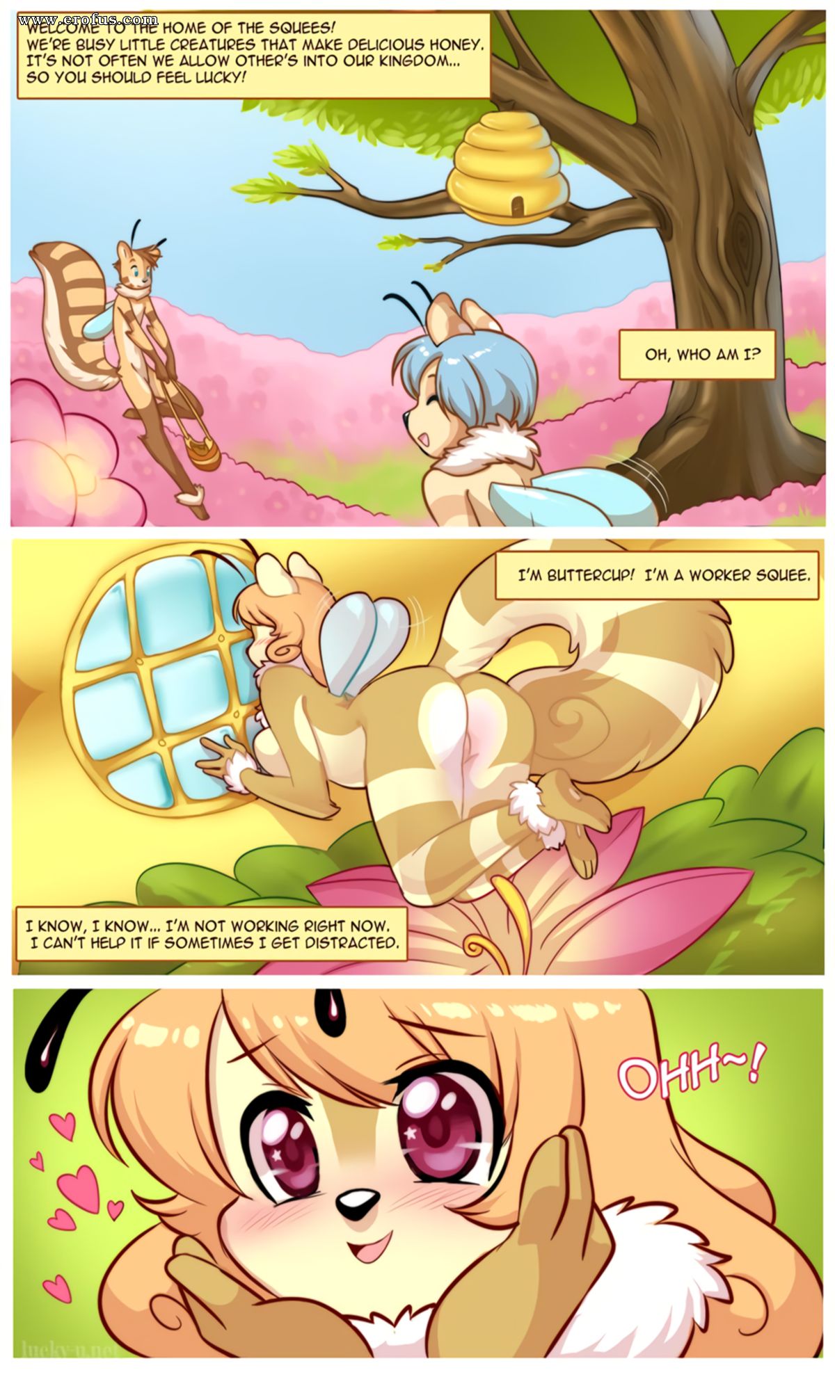 picture 01.png