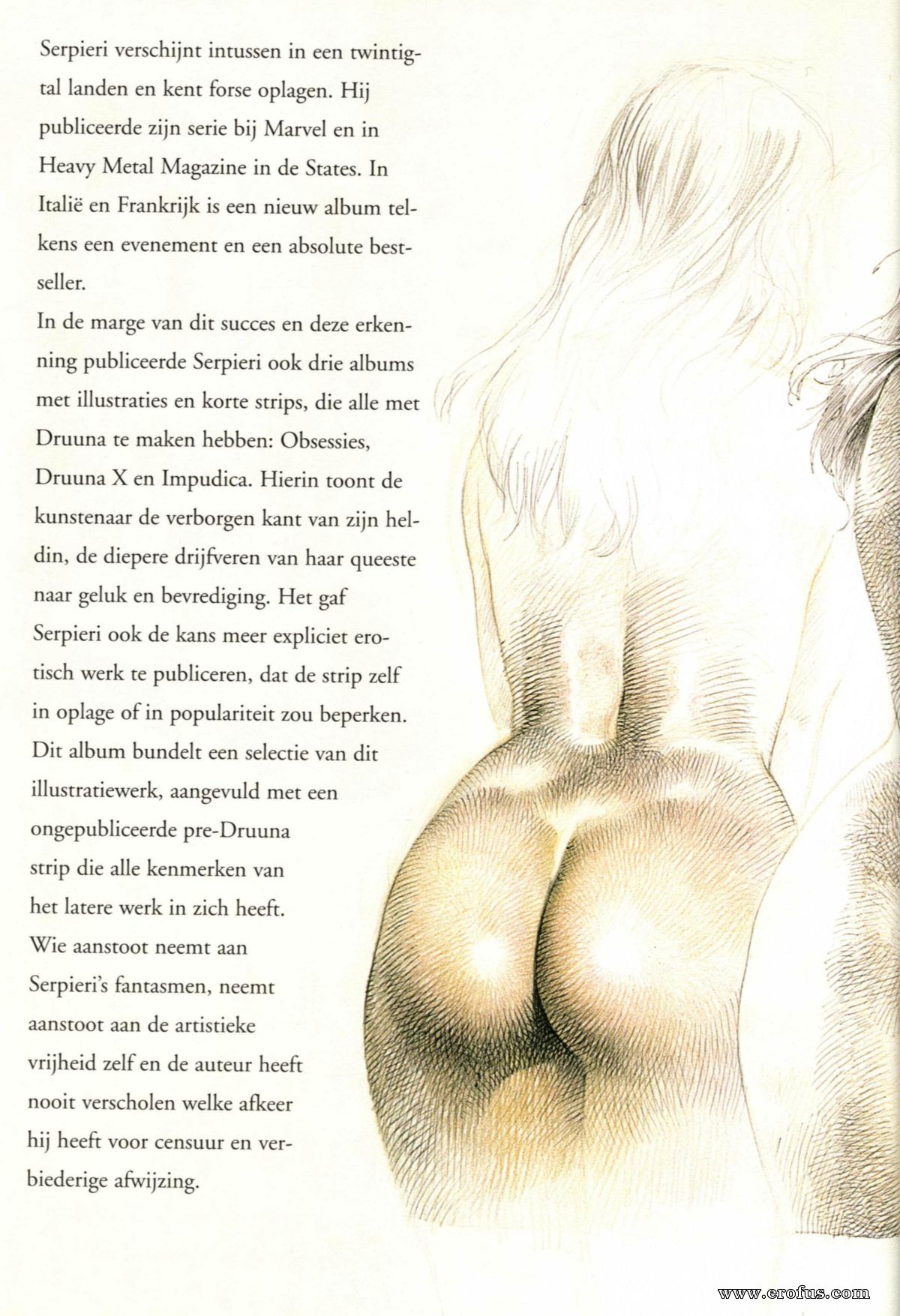 picture 19.jpg