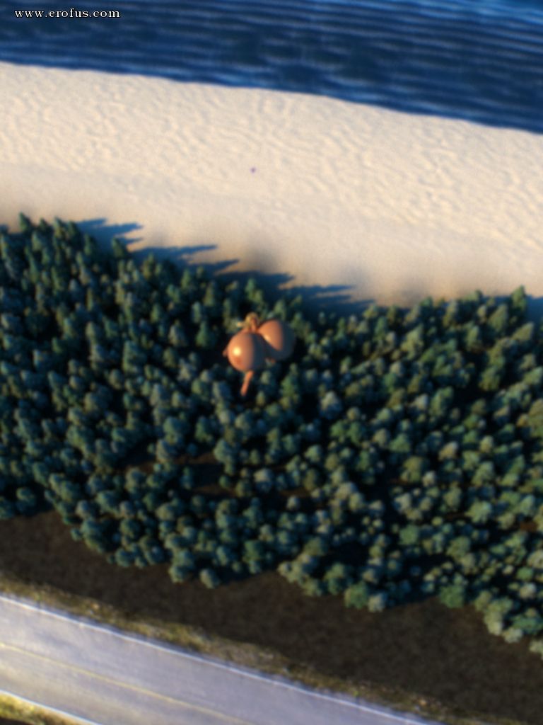picture 19.png