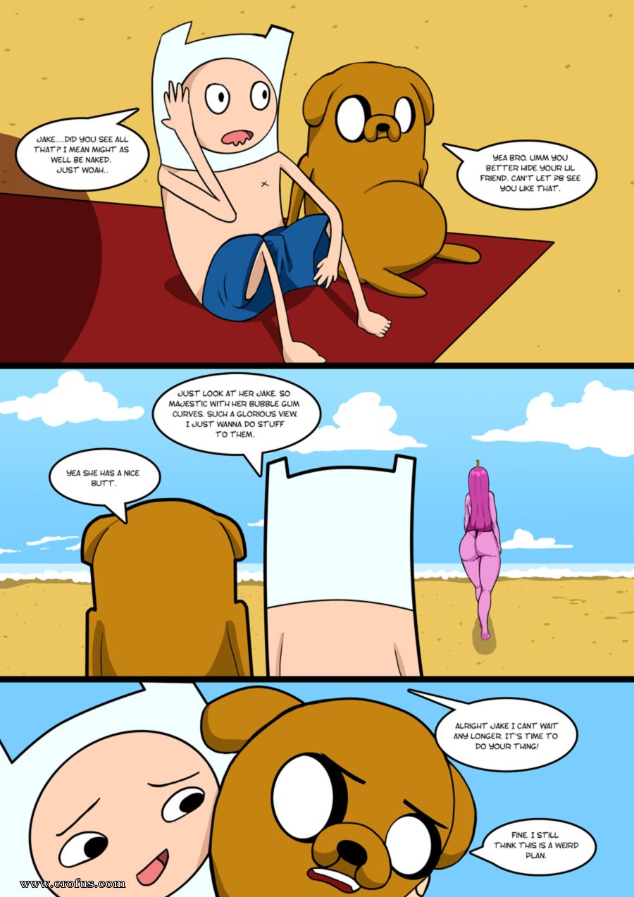 picture 04.png