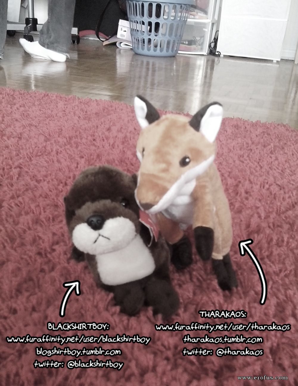 picture 20.png