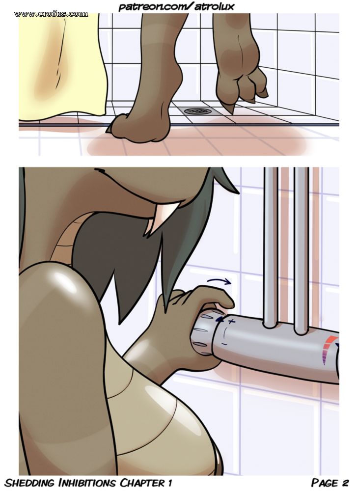 picture 02.png
