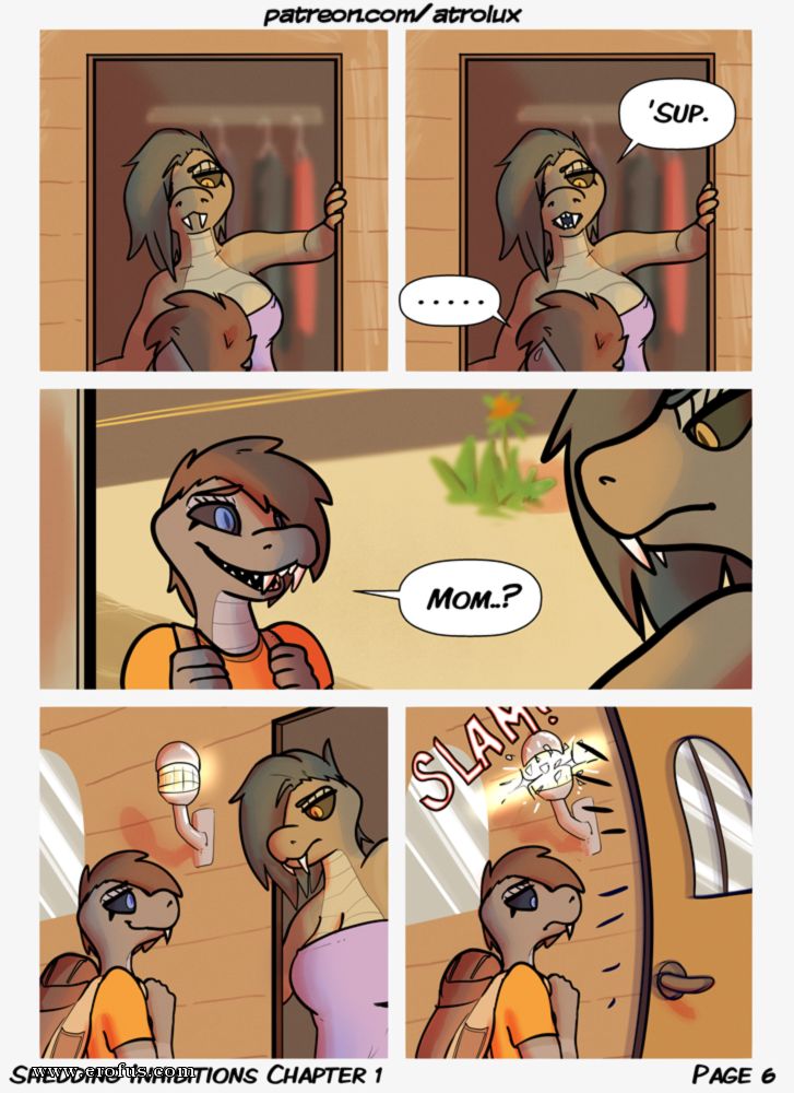 picture 06.png
