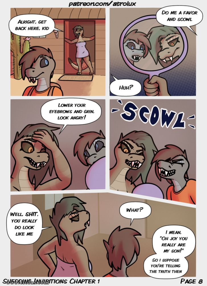 picture 08.png