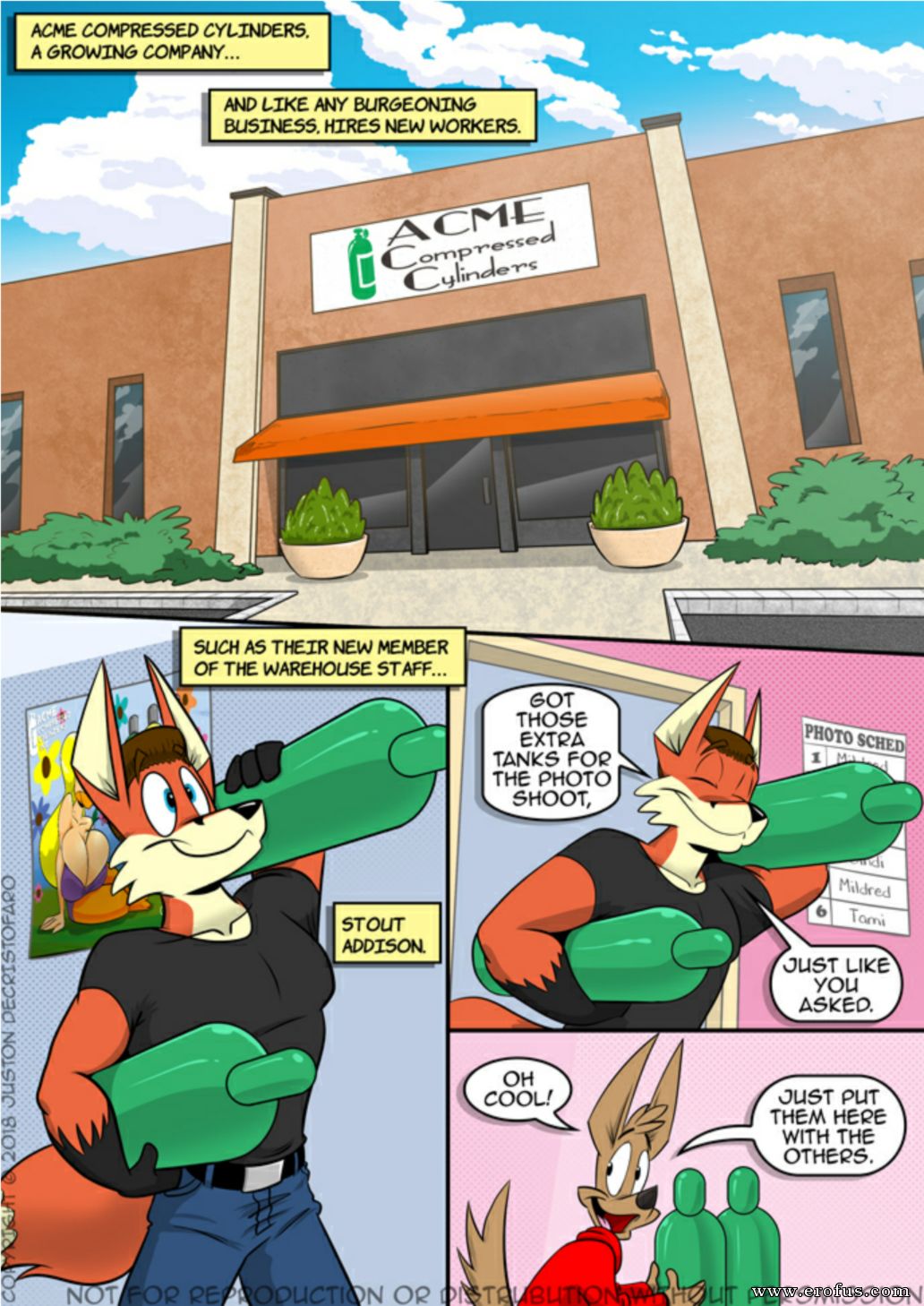 picture 04.png