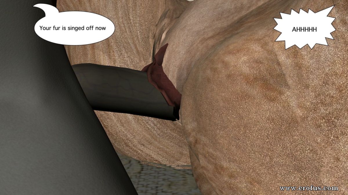 picture 15.jpg