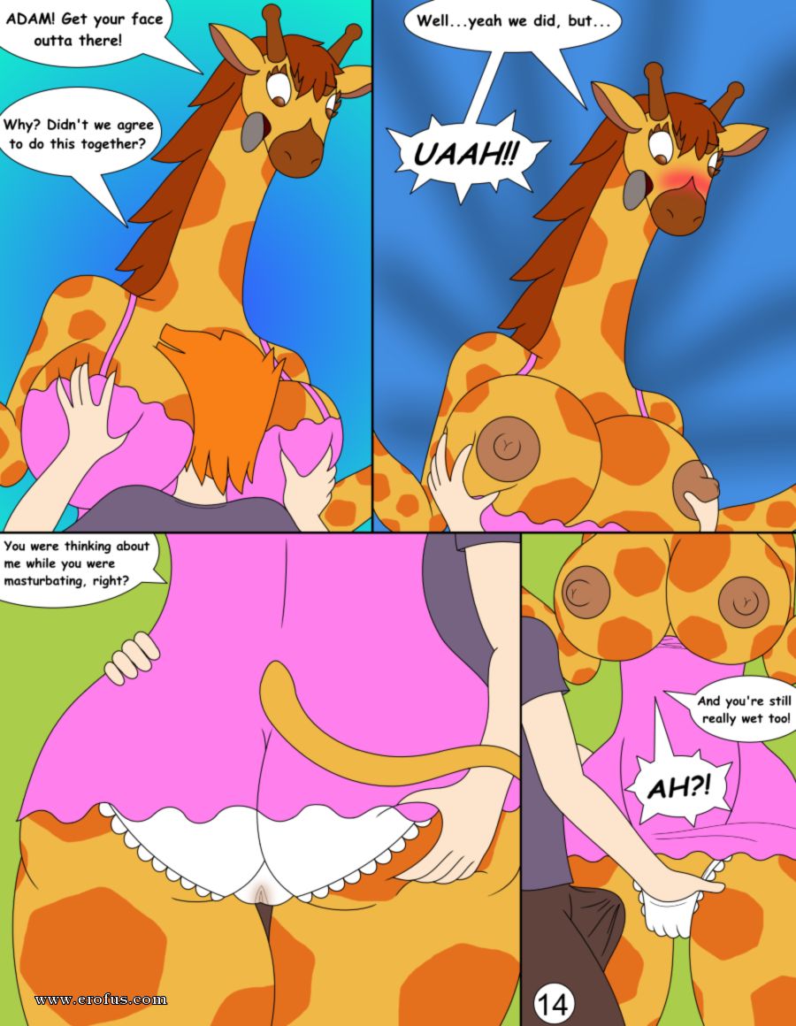 picture 14.png