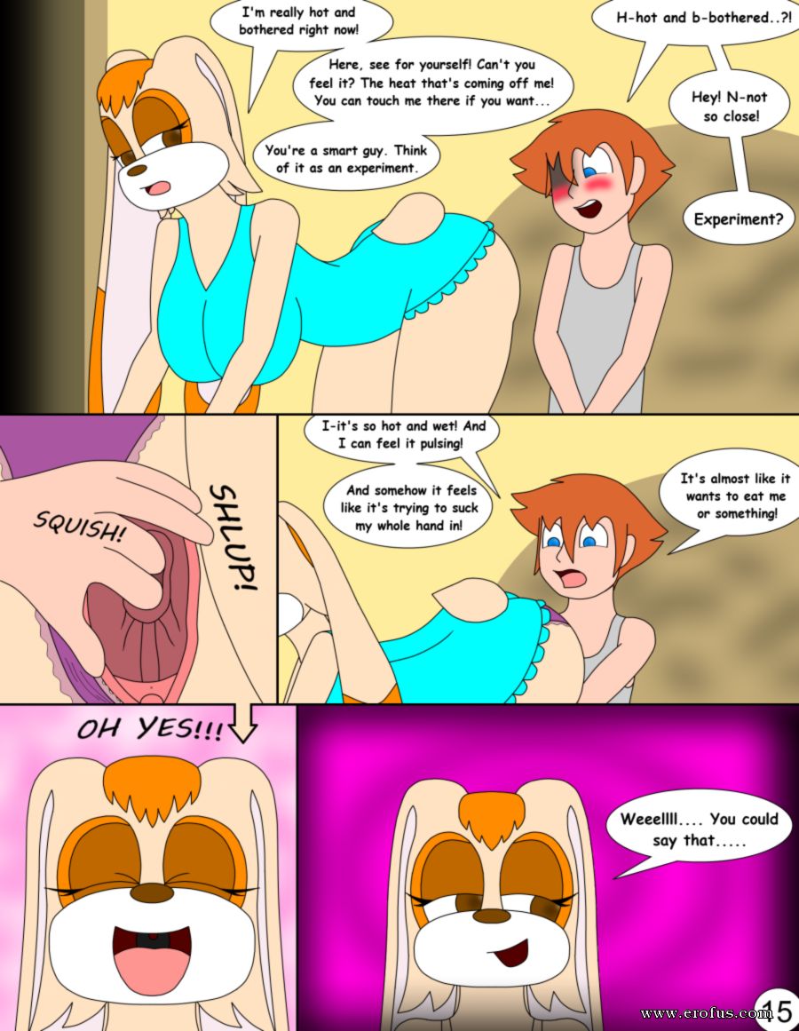 picture 15.png