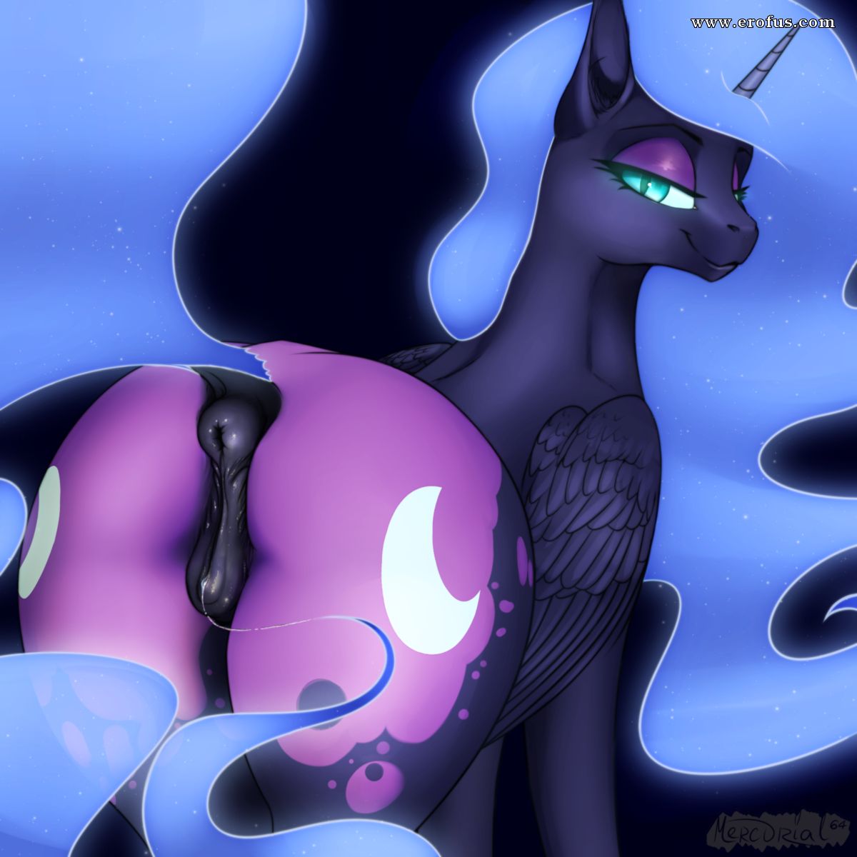 picture 11.png