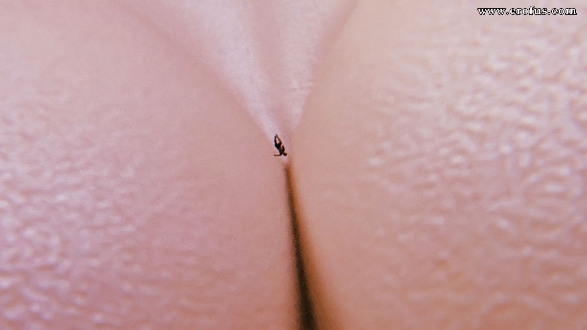 picture 117.jpg