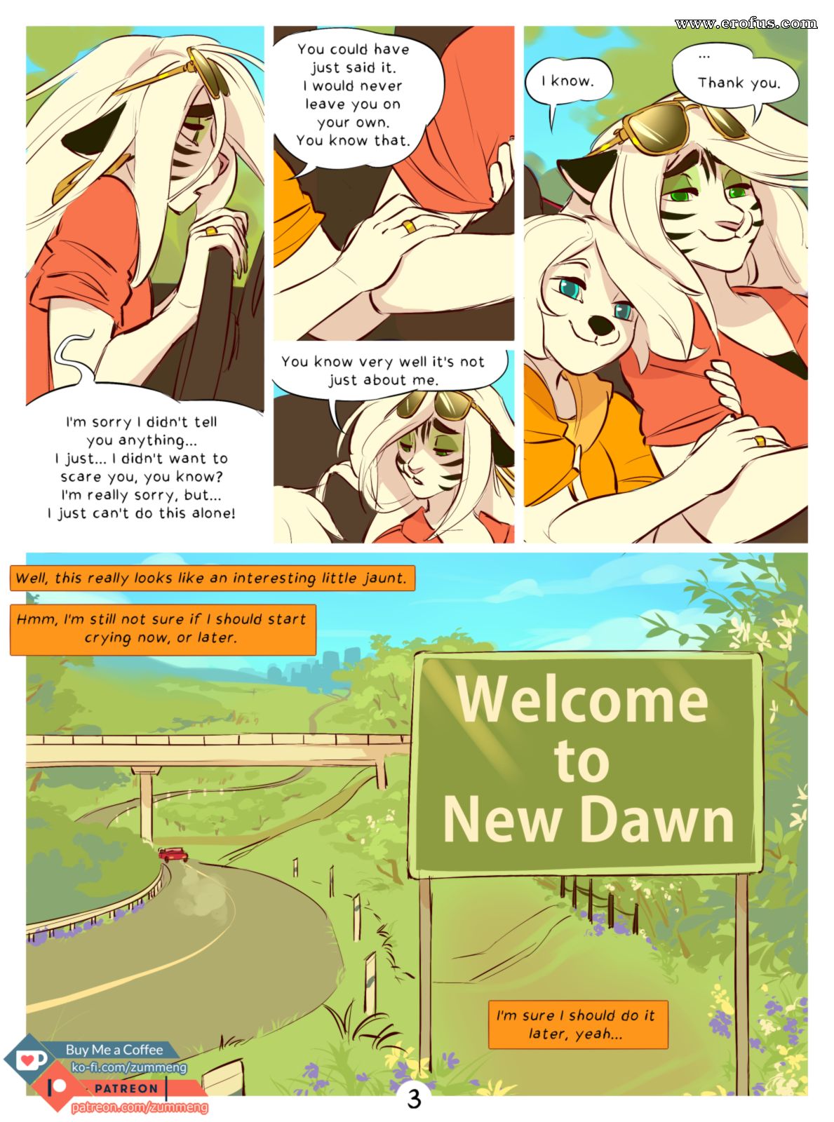 picture 03.png
