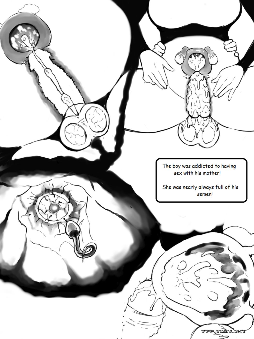 picture 01.png