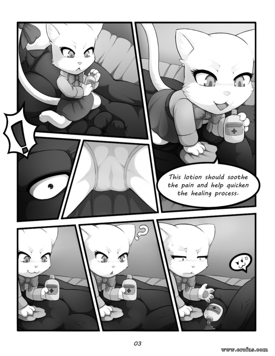 picture 03.png