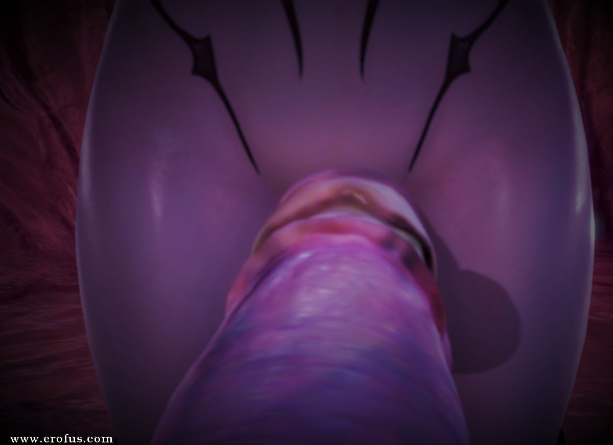 picture 01.png
