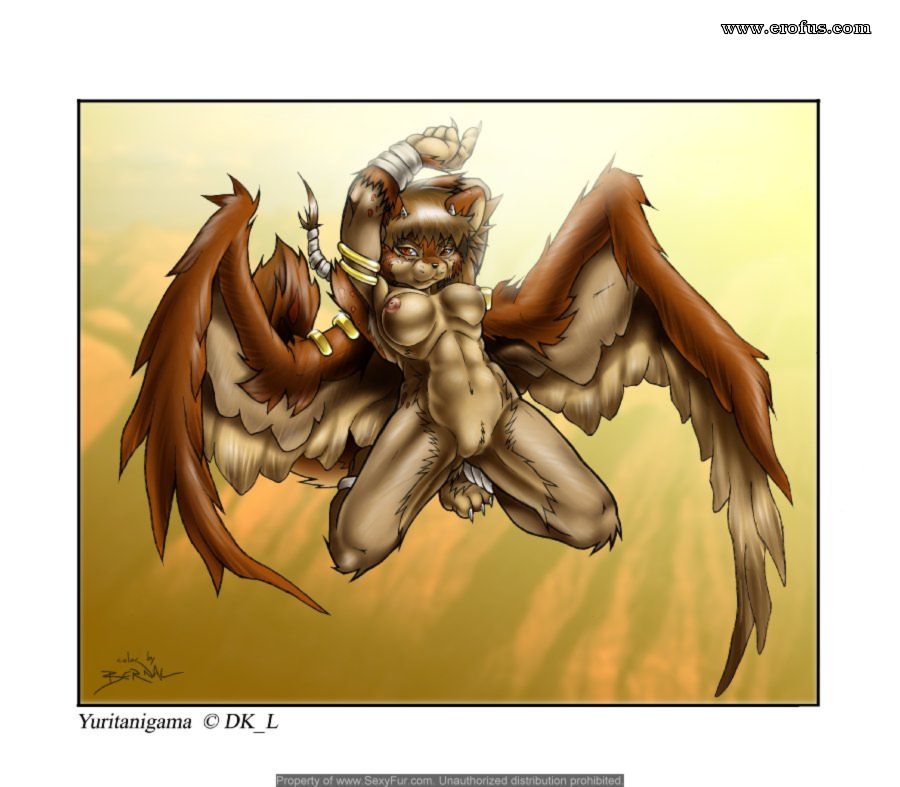 picture 31.jpg