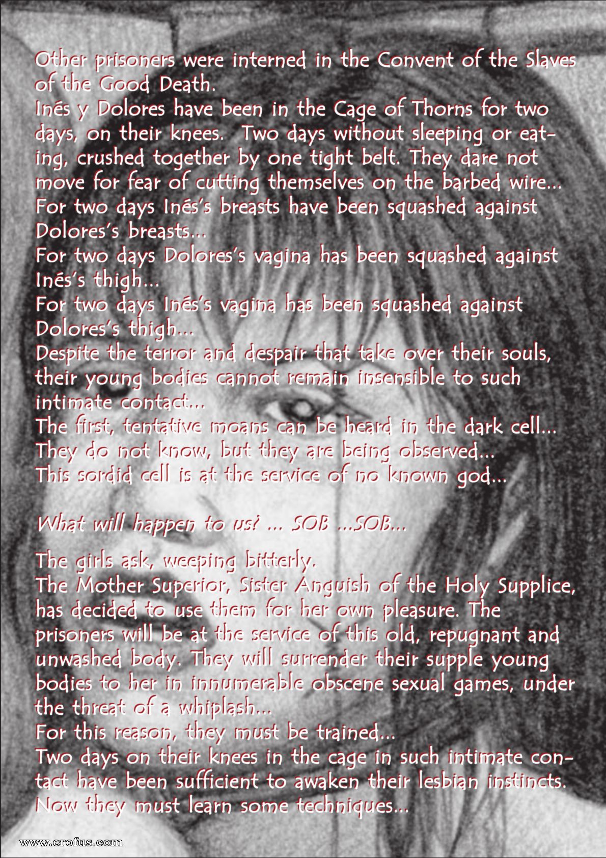 picture 36.png