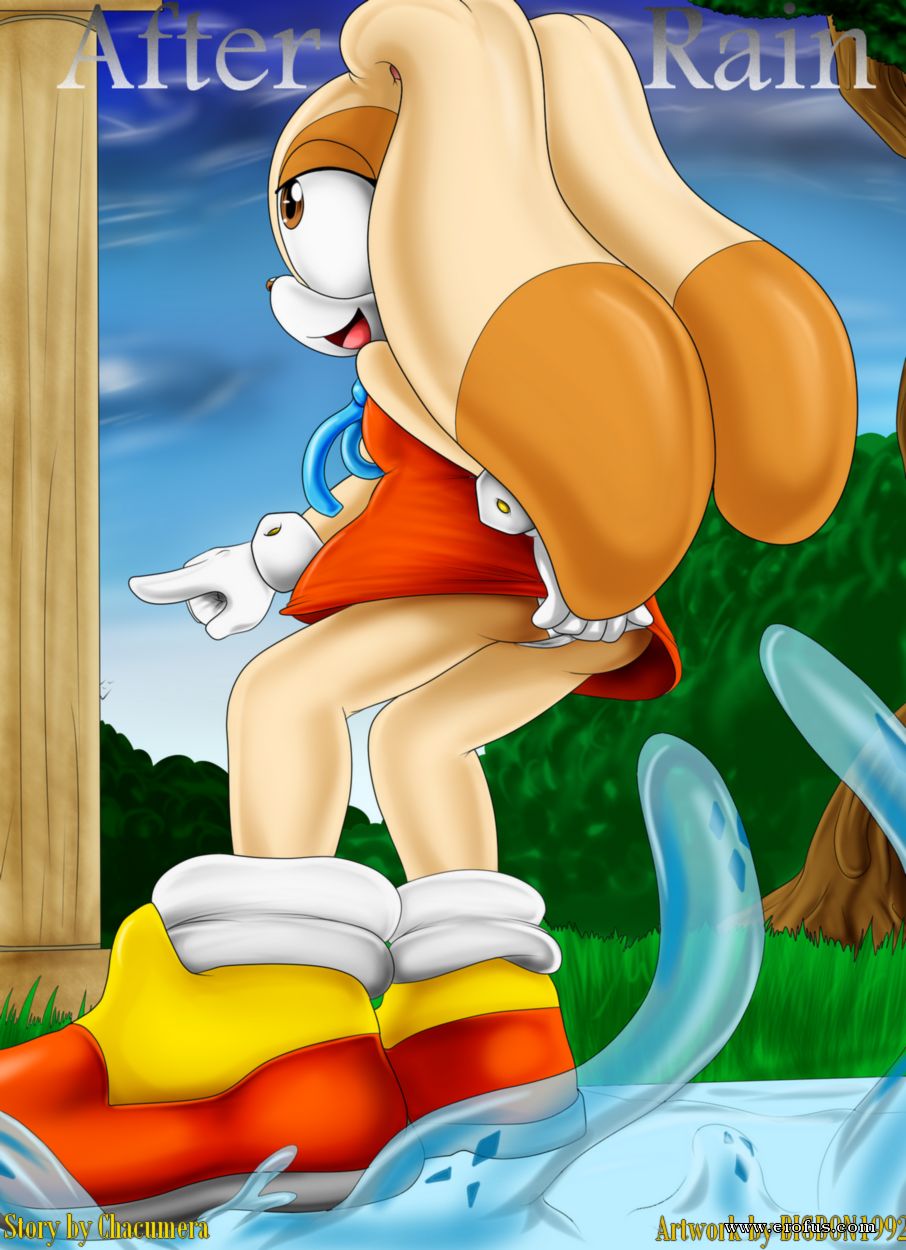 picture 01.png
