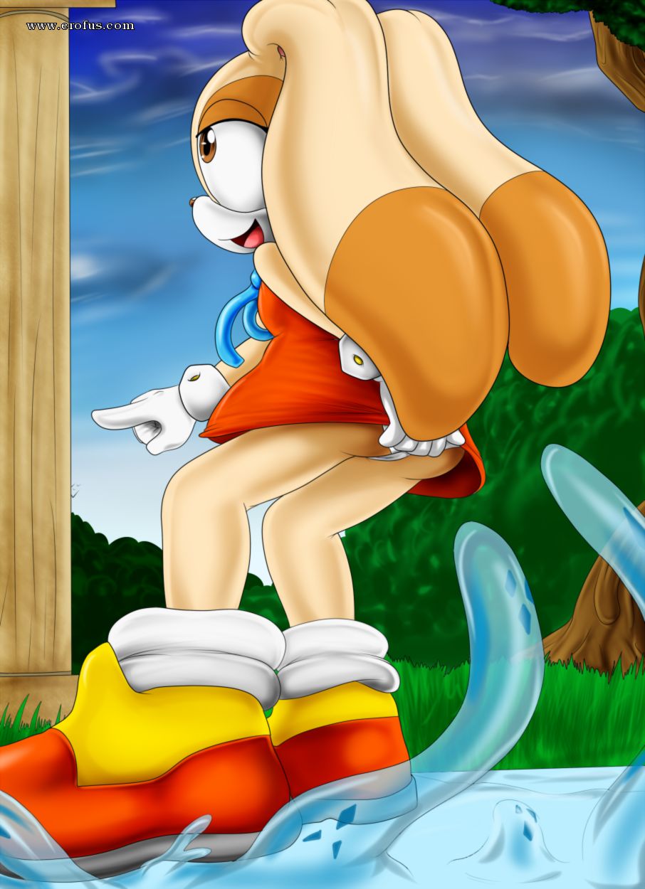 picture 02.png