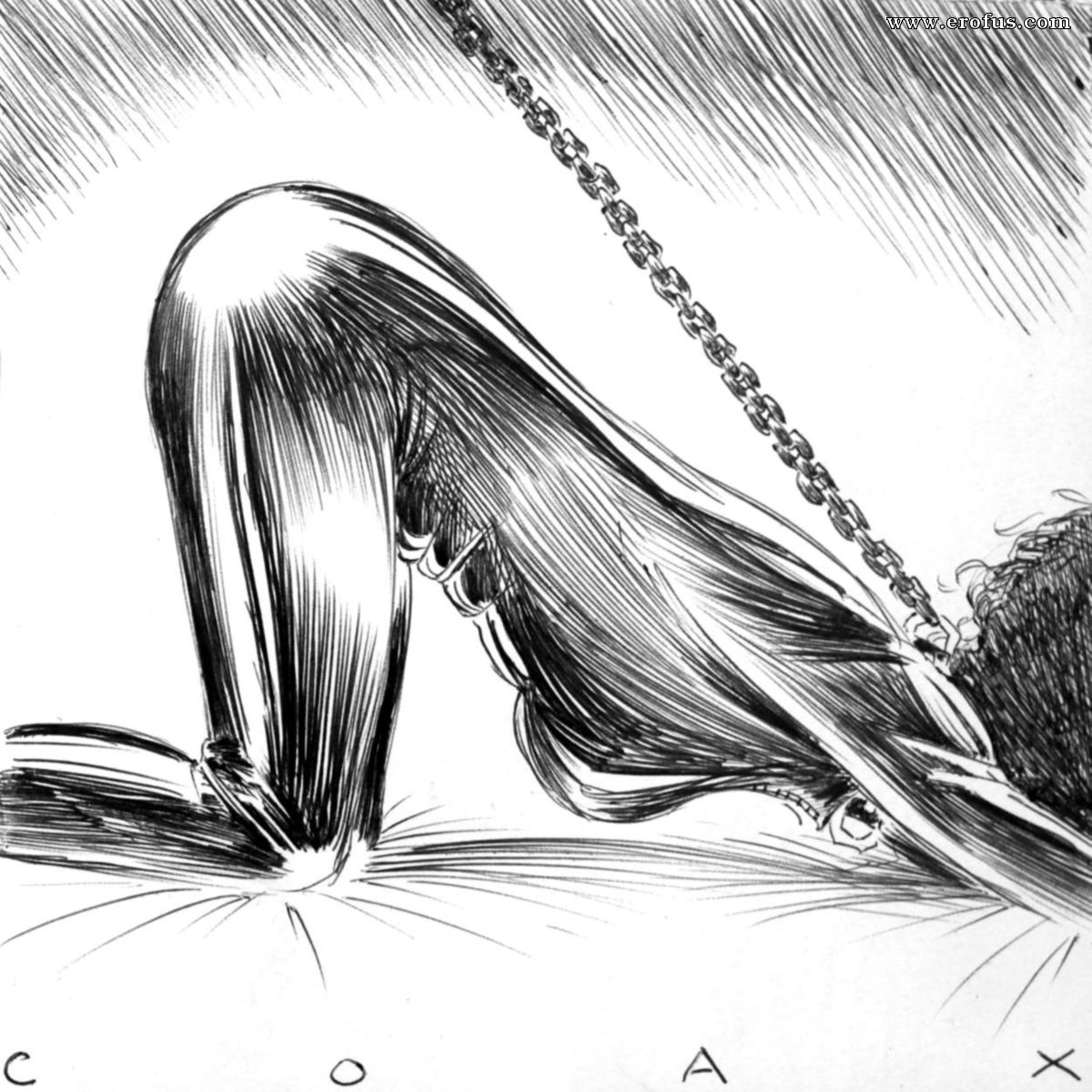 picture 11.jpg