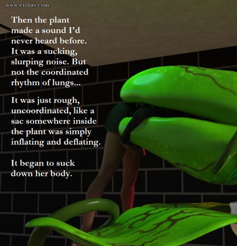 picture 13.jpg