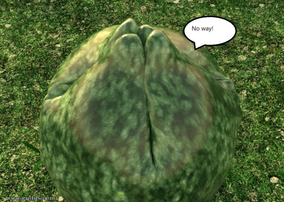 picture 30.jpg
