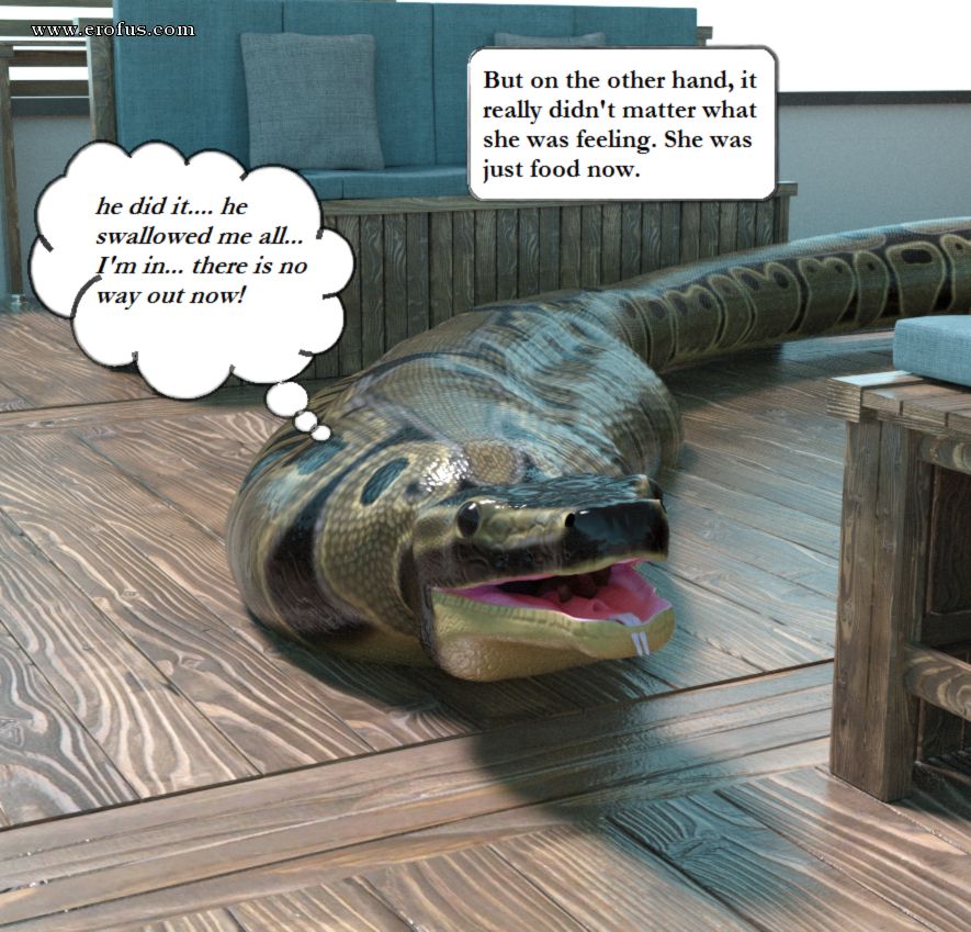 picture 42.png