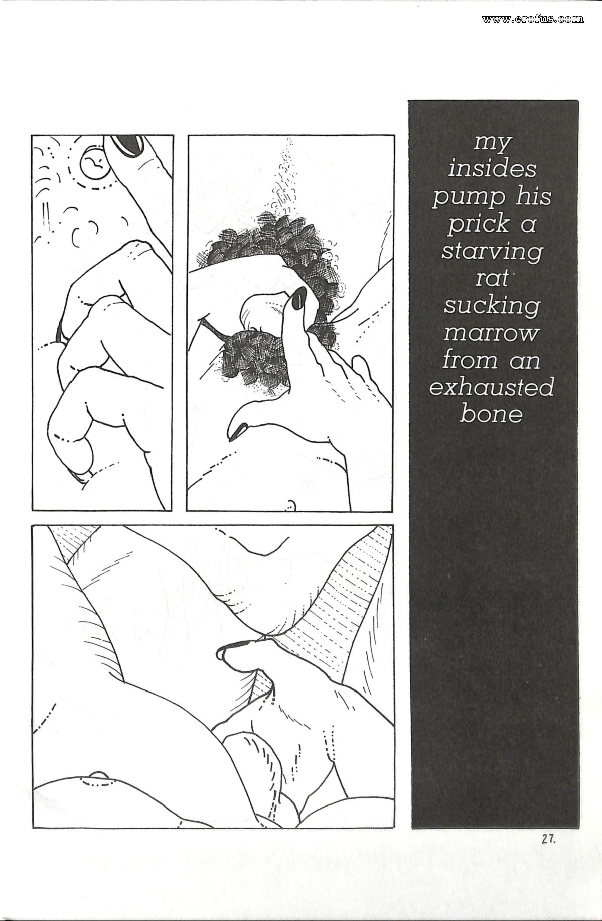 picture 30.jpg