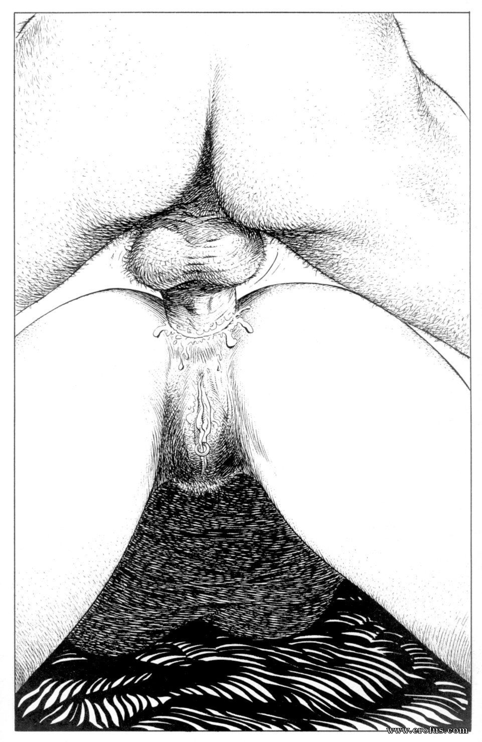 picture 10.jpg