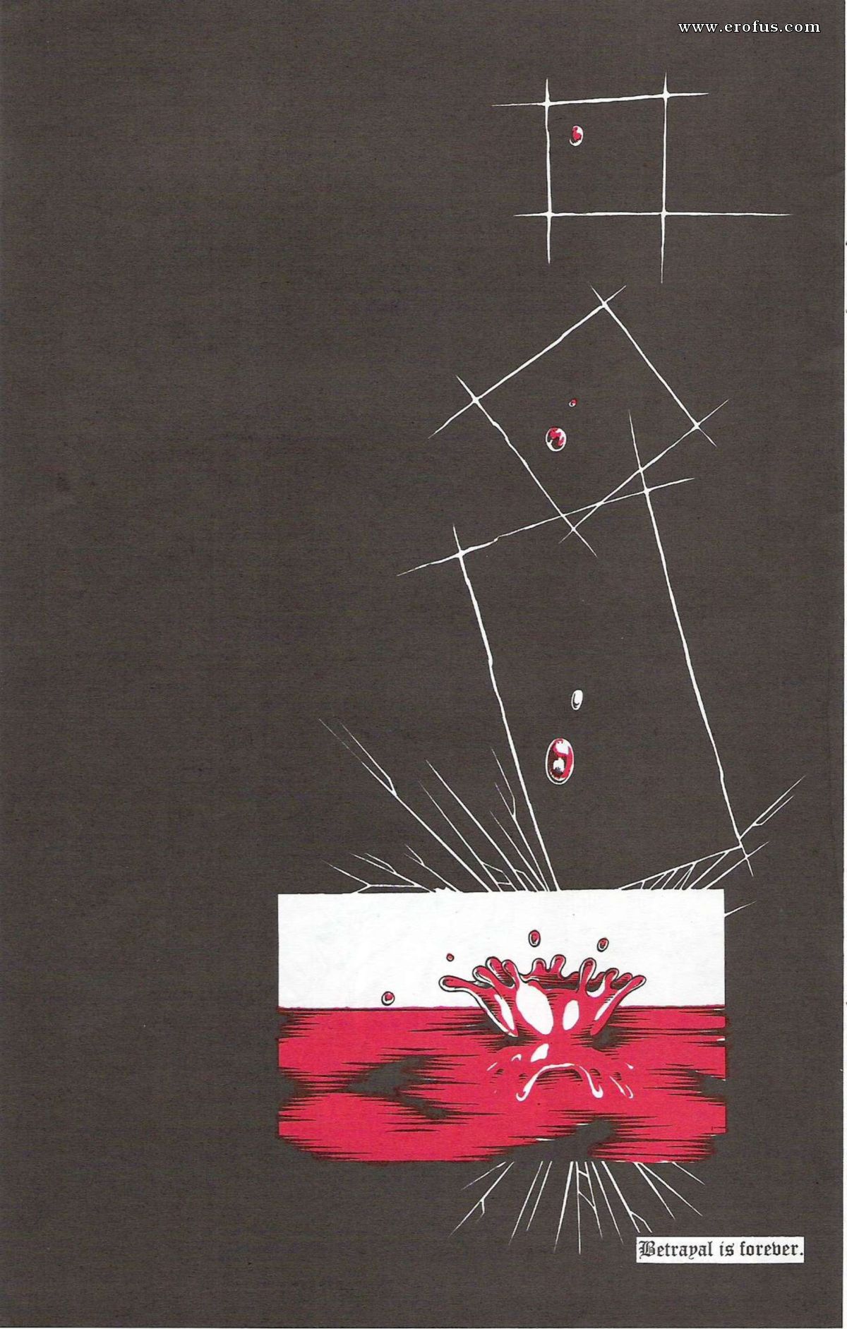 picture 13.jpg