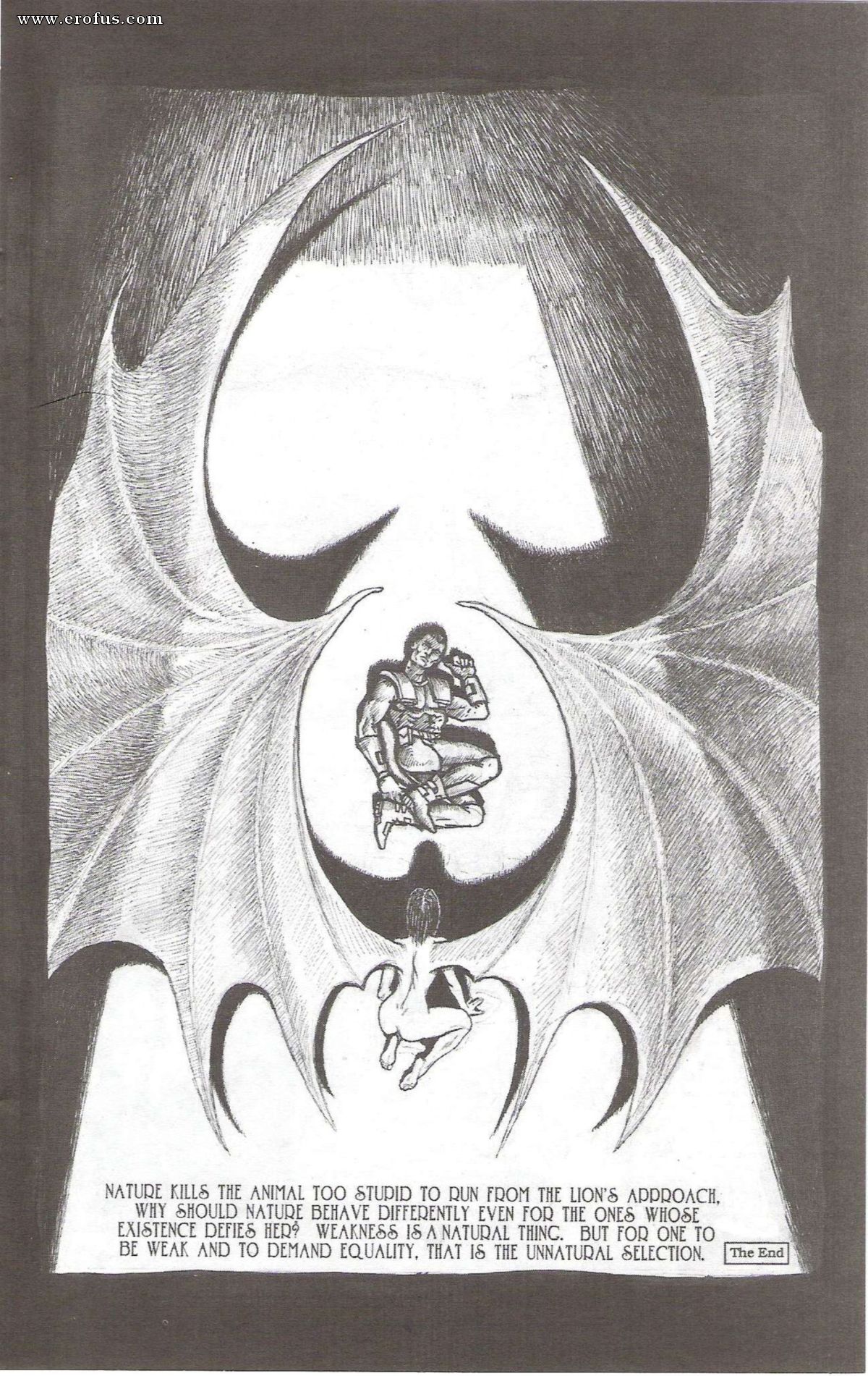 picture 26.jpg