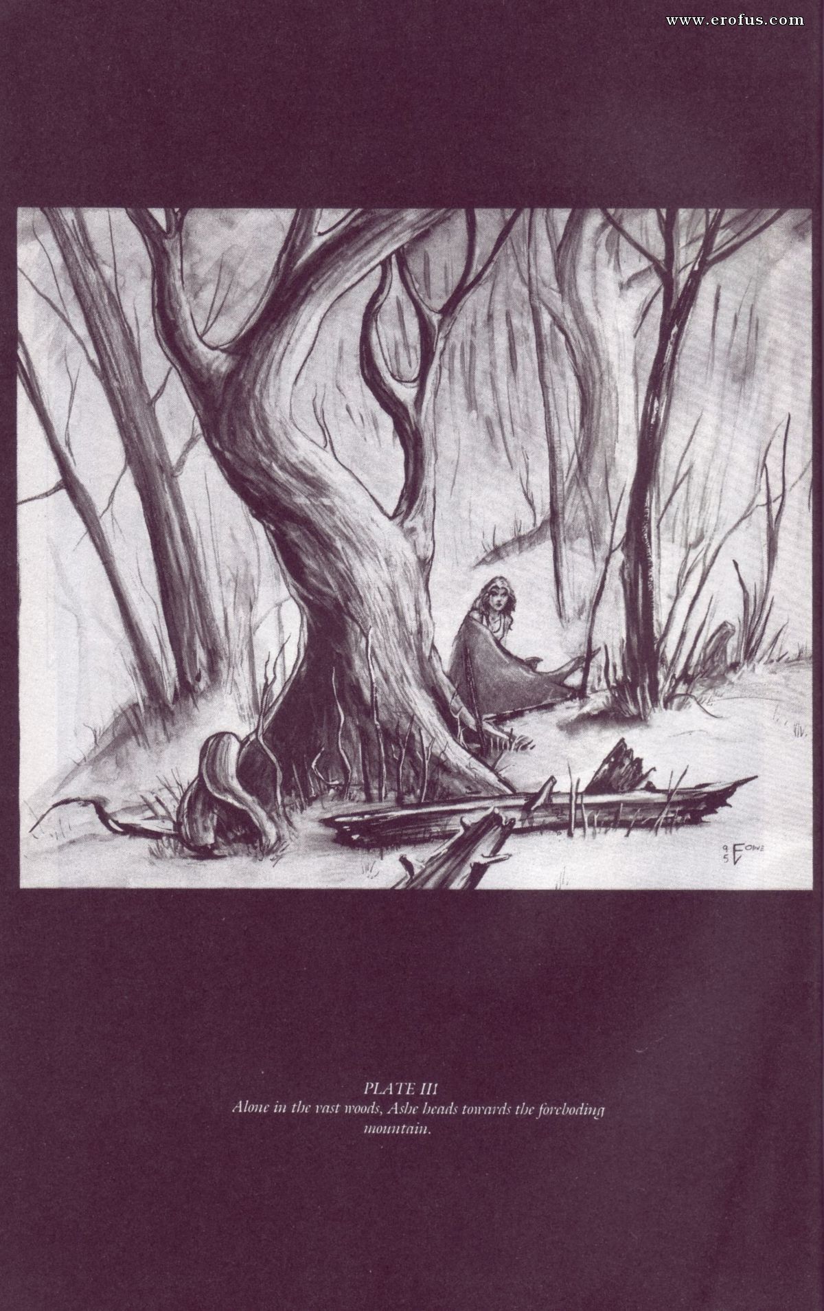 picture 21.jpg