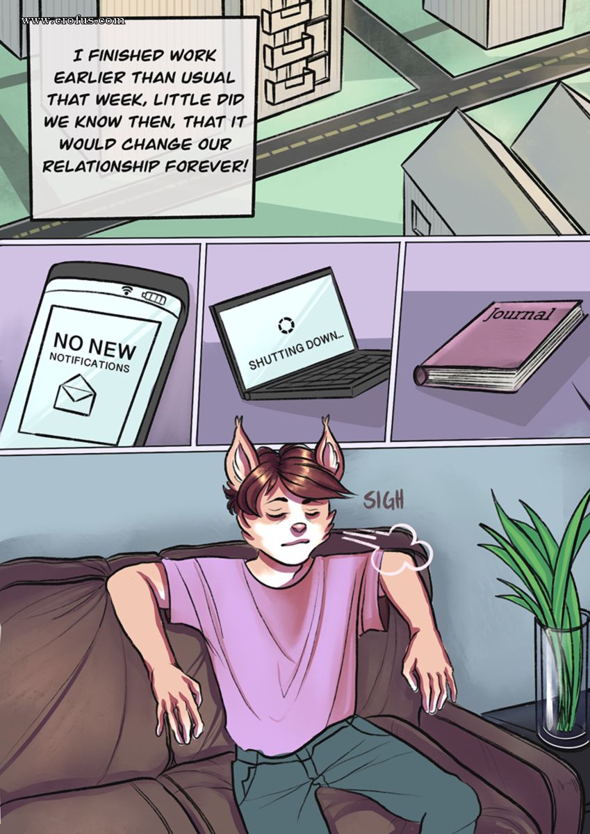 picture 02.png